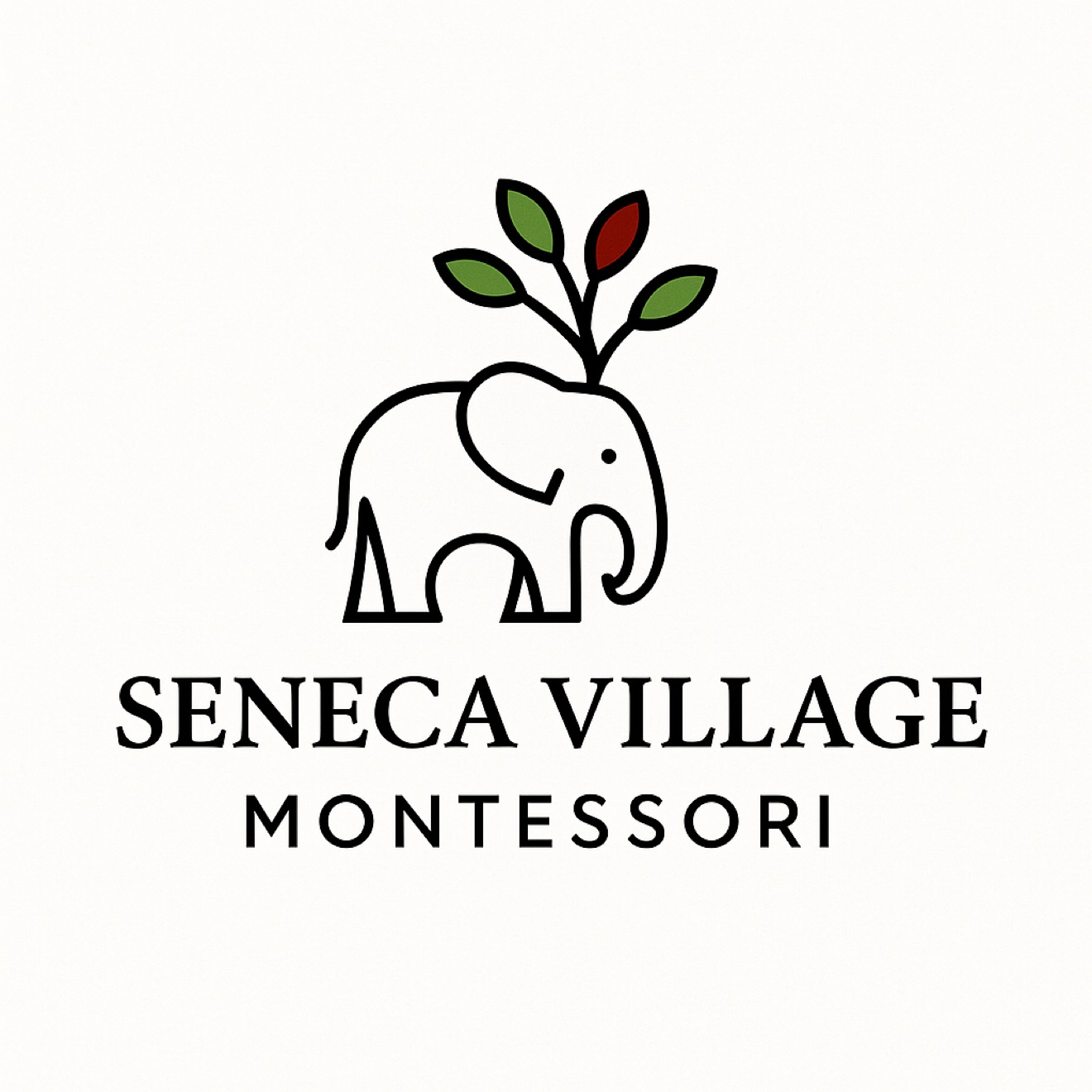 Seneca Village Montessori School